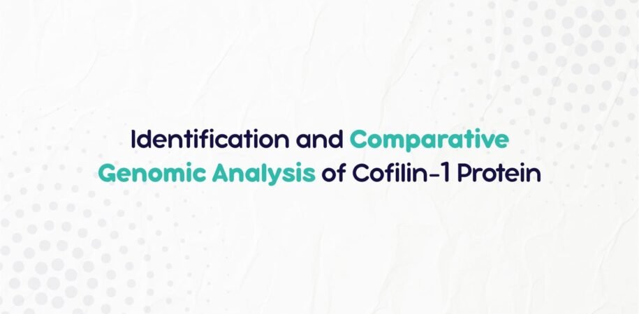 Identification of Cofilin-1 Protein